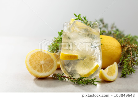 Cocktail Gin-tonic with ice, lemon, and juniper branches. 103849648