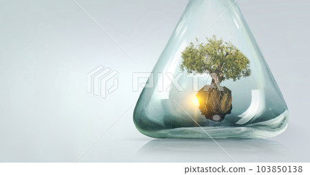 Tree growing inside clear glass bottle 103850138