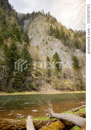 Photo of Dunajec River in Pienin Mountains, Poland. 103850763