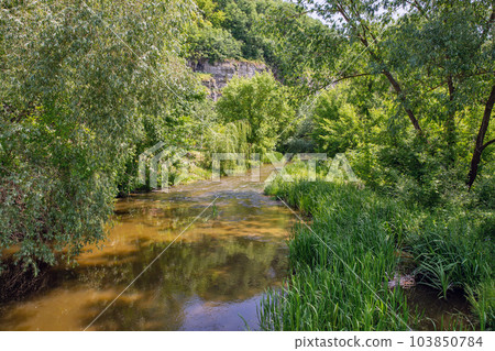 Smotrych river in canyon. Kamianets-Podilskyi, Ukraine. 103850784