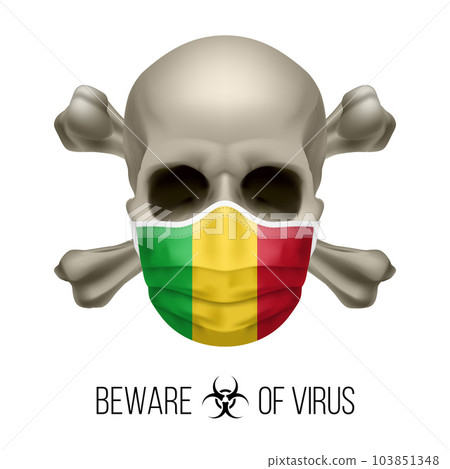 Human Skull Human Skull 103851348