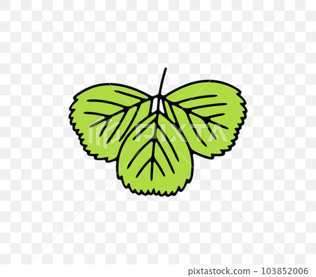 Strawberries leaf, strawberry leaves, wild strawberry, plant and food, colored graphic design. Berry, berries, fruit and meal, agriculture and agricultural, vector design and illustration 103852006