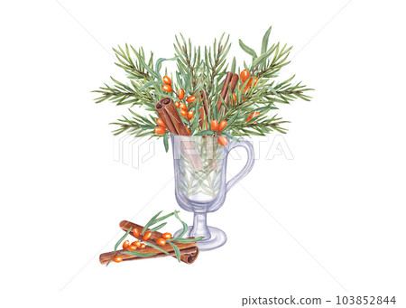 Bouquet of Spruce twigs, Sea Buckthorn branch, Cinnamons sticks in transparent glass on white background. Christmas and New year theme. Watercolor composition for Xmas, New Year cards, greetings 103852844
