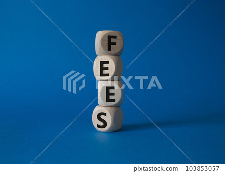 Fees symbol. Concept word Fees on wooden cubes. Beautiful blue background. Business and Fees concept. Copy space. 103853057