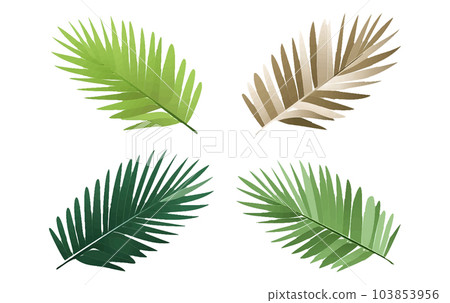 set vector illustraion of tropical leaves isolated on white background 103853956