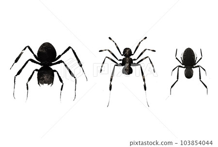 set vector illustration of magic black evil spider halloween concept isolated on white background 103854044