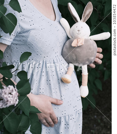 Close-up of a pregnant girl in a soft blue dress with a bouquet of white chrysanthemums and a toy bunny Close-up of a pregnant girl in a soft blue dress with a bouquet of white chrysanthemums and a toy bunny 103854472