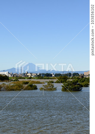 Saiko Doman Green Park (Arakawa) submerged due to the 2019 East Japan typhoon and flood control effects 103856102