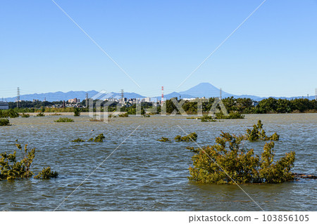 由於 2019 年東日本颱風和防洪效果,Saiko Doman Green Park(荒川)被淹沒 由於 2019 年東日本颱風和防洪效果,Saiko Doman Green Park(荒川)被淹沒 103856105