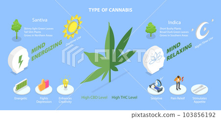 3D Isometric Flat Vector Conceptual Illustration of Tipe Of Cannabis 103856192
