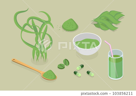 3D Isometric Flat Vector Set of Spirulina 103856211