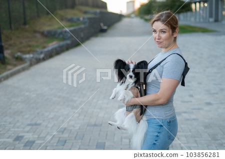 Happy caucasian woman walking with a dog in a backpack. Papillon Spaniel Continental in a sling. 103856281