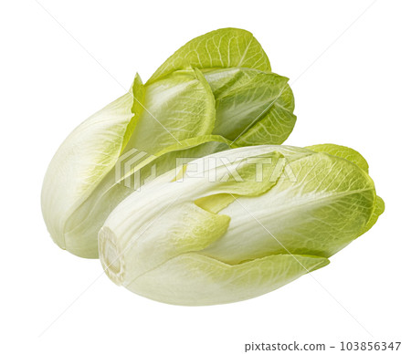 Fresh endive, green chicory salad isolated on white background 103856347