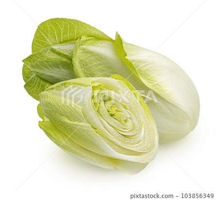 Fresh endive, green chicory salad isolated on white background Fresh endive, green chicory salad isolated on white background 103856349