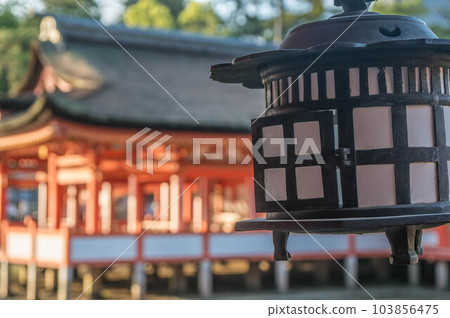 廣島嚴島神社落日照亮的美麗燈籠 103856475