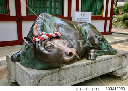 Cow statue, Dazaifu Tenmangu Shrine (Dazaifu City, Fukuoka Prefecture) Cow statue, Dazaifu Tenmangu Shrine (Dazaifu City, Fukuoka Prefecture) 103856963