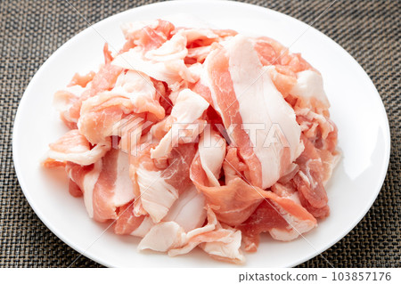 豬肉末。 豬肉末。 103857176