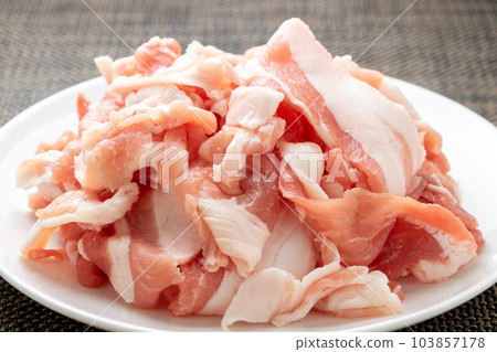 豬肉末。 103857178