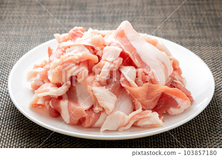 豬肉末。 103857180