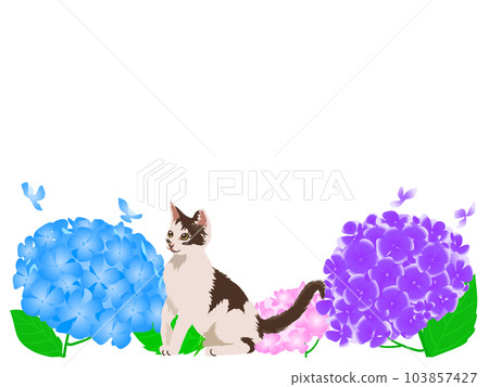 Hydrangea and kitten white background Hydrangea and kitten white background 103857427