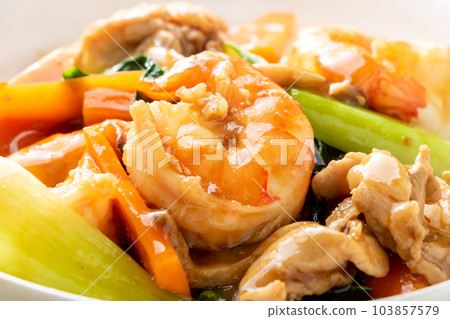 Close-up of Gomoku Ankake Chinese Rice Bowl. Close-up of Gomoku Ankake Chinese Rice Bowl. 103857579