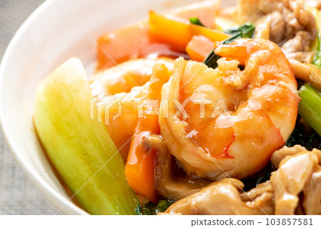 Close-up of Gomoku Ankake Chinese Rice Bowl. Close-up of Gomoku Ankake Chinese Rice Bowl. 103857581