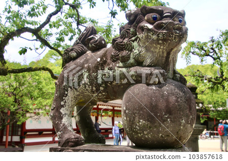 Komainu/Dazaifu Tenmangu Shrine (Dazaifu City, Fukuoka Prefecture) Komainu/Dazaifu Tenmangu Shrine (Dazaifu City, Fukuoka Prefecture) 103857618