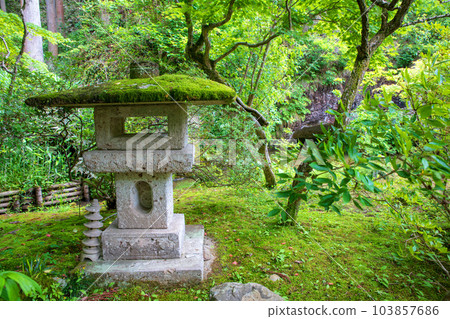 宇都宮市辯天堂附近的親寺燈籠 103857686