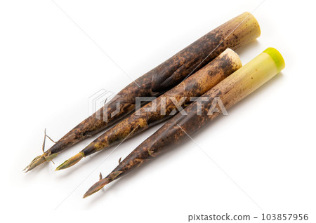 麻竹、竹筍 103857956