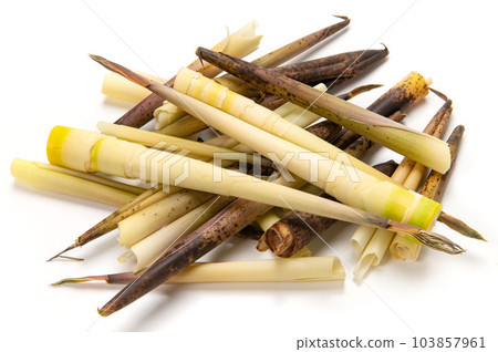 麻竹、竹筍 103857961
