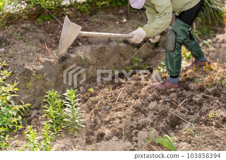 Senior woman plowing the soil in the kitchen garden Senior woman plowing the soil in the kitchen garden 103858394