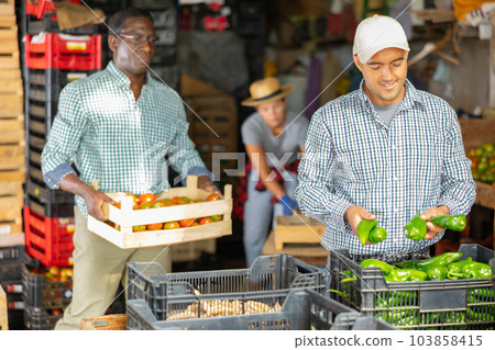 Man working in vegetable warehouse 103858415