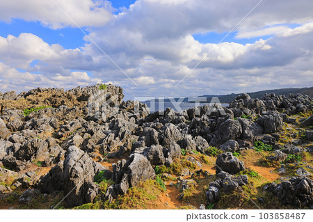 沖繩島最北端邊戶岬 103858487