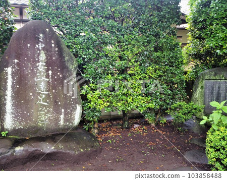 Annaka氏族Ansei遊覽紀念碑 103858488