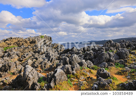 沖繩島最北端邊戶岬 103858489