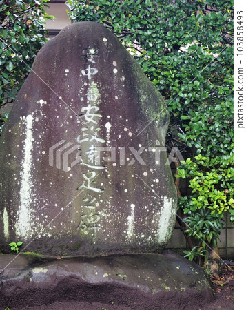 Annaka氏族Ansei遊覽紀念碑 Annaka氏族Ansei遊覽紀念碑 103858493