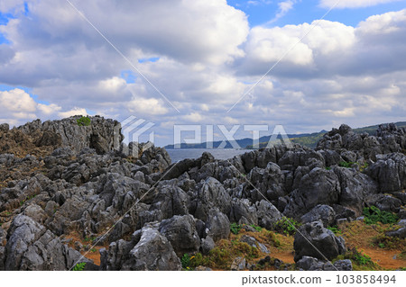 沖繩島最北端邊戶岬 103858494