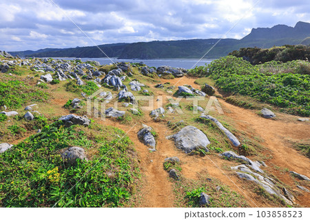 Cape Hedo, the northernmost point of Okinawa Island Cape Hedo, the northernmost point of Okinawa Island 103858523