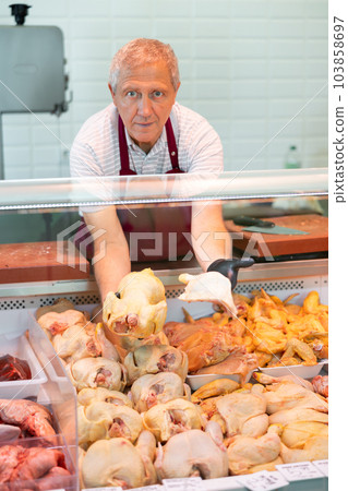 Elderly butcher shop seller laying out raw chickens in display case 103858697