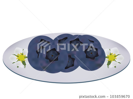"Blueberry fruit" served on a plate White plate Floral pattern 103859670