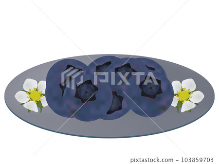 “藍莓果”放在盤子裡 灰色盤子 花卉圖案 103859703