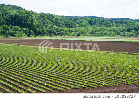 Beautiful scenery of Kimobetsu town in Hokkaido, Japan Beautiful scenery of Kimobetsu town in Hokkaido, Japan 103859727