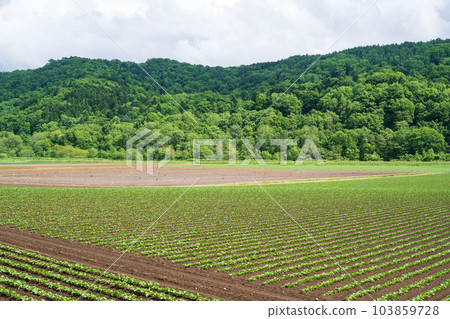 Beautiful scenery of Kimobetsu town in Hokkaido, Japan Beautiful scenery of Kimobetsu town in Hokkaido, Japan 103859728