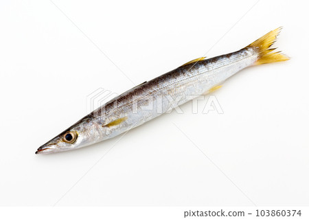 卡馬斯 卡馬斯 103860374