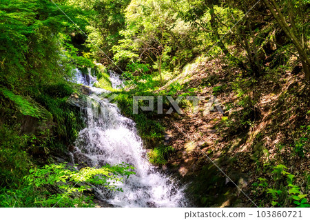 Waterfall in the beautiful fresh green season|Tato Falls Waterfall in the beautiful fresh green season|Tato Falls 103860721