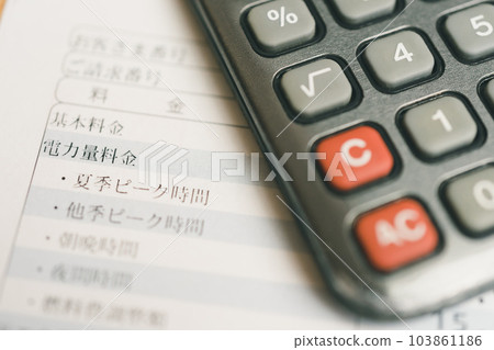 electricity bill details electricity bill details 103861186