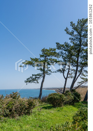 A view of the sunny Sea of Japan from Cape Amagozen|Kaga City, Ishikawa Prefecture A view of the sunny Sea of Japan from Cape Amagozen|Kaga City, Ishikawa Prefecture 103861262