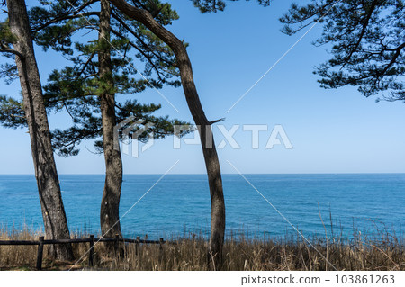 A view of the sunny Sea of Japan from Cape Amagozen｜Kaga City, Ishikawa Prefecture 103861263