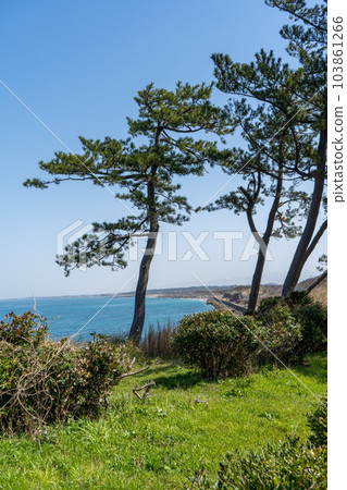A view of the sunny Sea of Japan from Cape Amagozen｜Kaga City, Ishikawa Prefecture 103861266