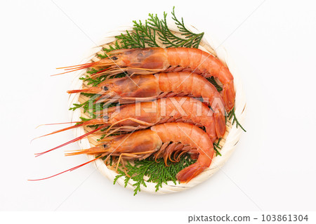 Red Shrimp 103861304